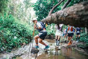 BIB: 
                            <button type="button" onclick="openModal(25373089)" class="btn btn-primary btn-sm float-right btn-popup" data-toggle="modal" data-target=".modal-high-quality">
                        <i class="fas fa-shopping-cart"></i> Add to Cart
                    </button>
                                            <button type="button" onclick="isThisMe(25373089, true)" class="btn btn-success btn-sm float-right btn-popup btn-isme hidden" data-toggle="tooltip" data-placement="bottom" title="นี่คือรูปของคุณใช่ไหม คลิกที่นี่เพื่อเอาเข้าอัลบั้ม">
                        <i class="fas fa-plus"></i> Add to album
                    </button>
                    <button type="button" onclick="isThisMe(25373089, false)" class="btn btn-warning btn-sm float-right btn-popup btn-isnotme hidden">
                        <i class="fas fa-ban"></i> Remove from album
                    </button>